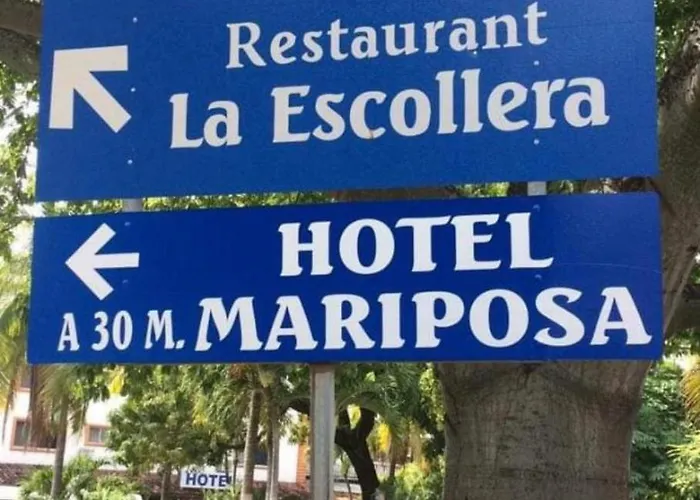 Mariposa Zihuatanejo